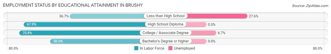 Employment Status by Educational Attainment in Brushy
