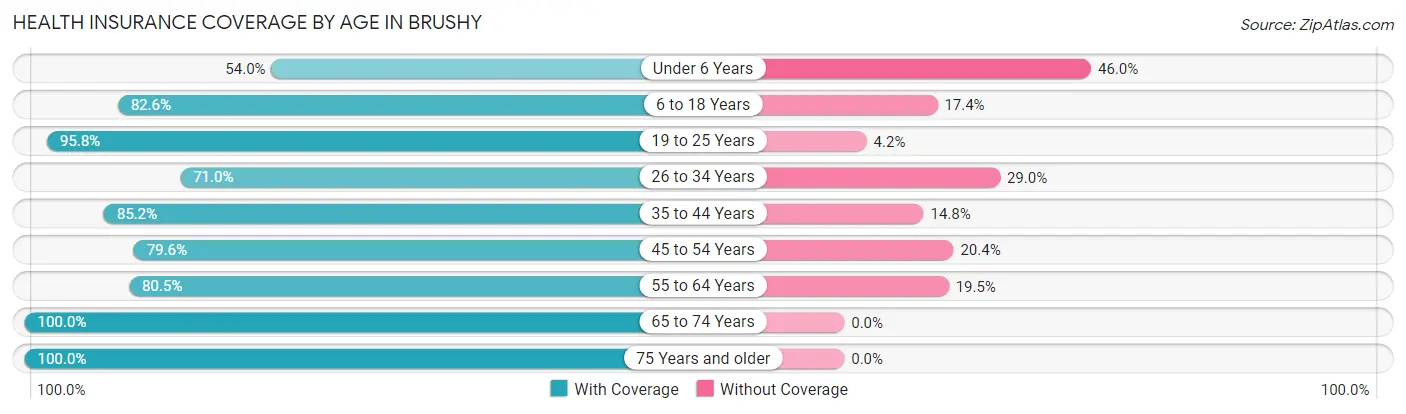Health Insurance Coverage by Age in Brushy