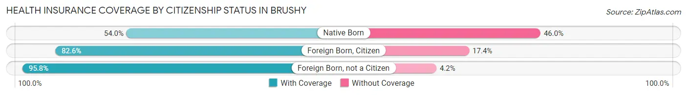 Health Insurance Coverage by Citizenship Status in Brushy