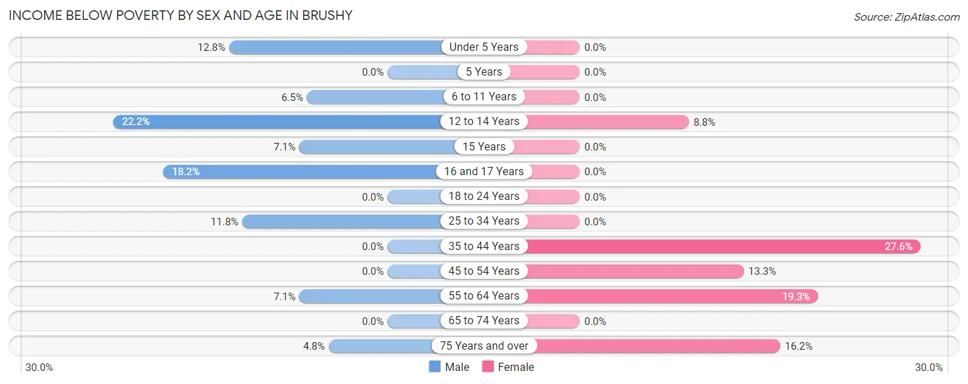 Income Below Poverty by Sex and Age in Brushy