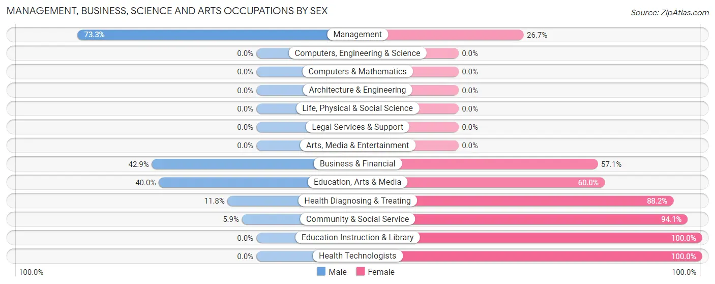 Management, Business, Science and Arts Occupations by Sex in Brushy