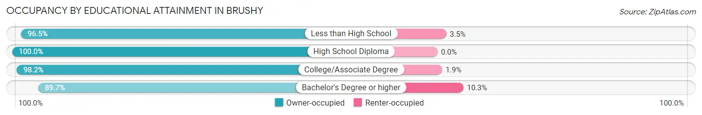 Occupancy by Educational Attainment in Brushy