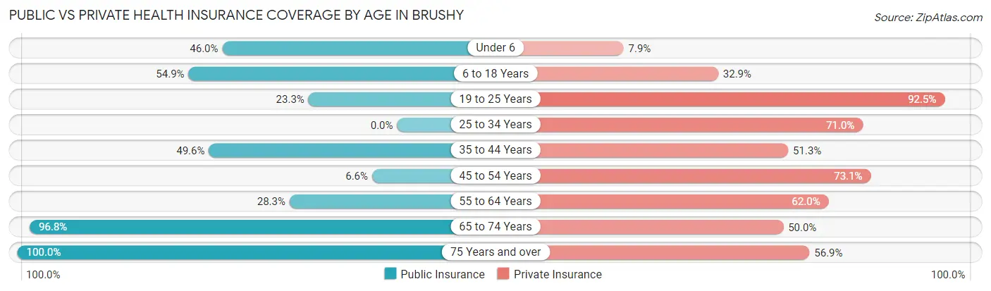 Public vs Private Health Insurance Coverage by Age in Brushy