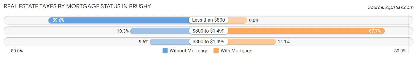 Real Estate Taxes by Mortgage Status in Brushy