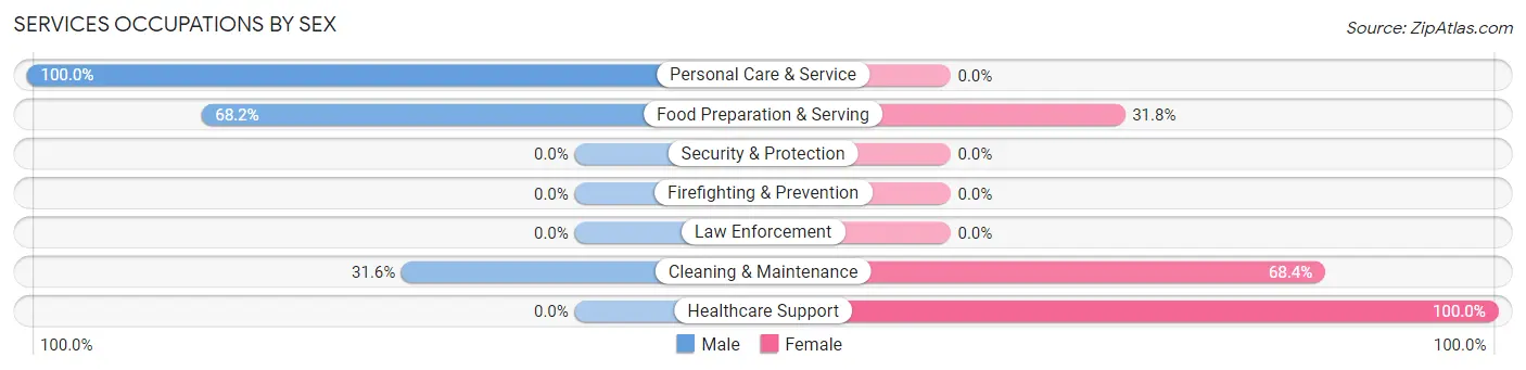 Services Occupations by Sex in Brushy