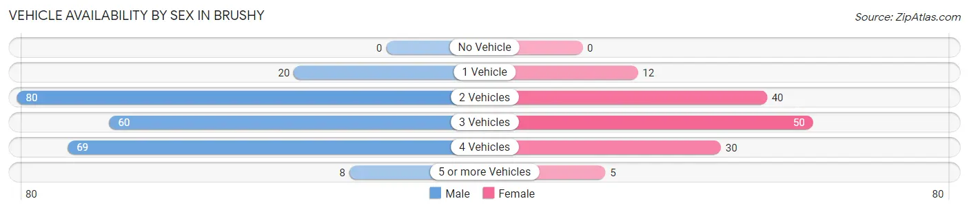 Vehicle Availability by Sex in Brushy