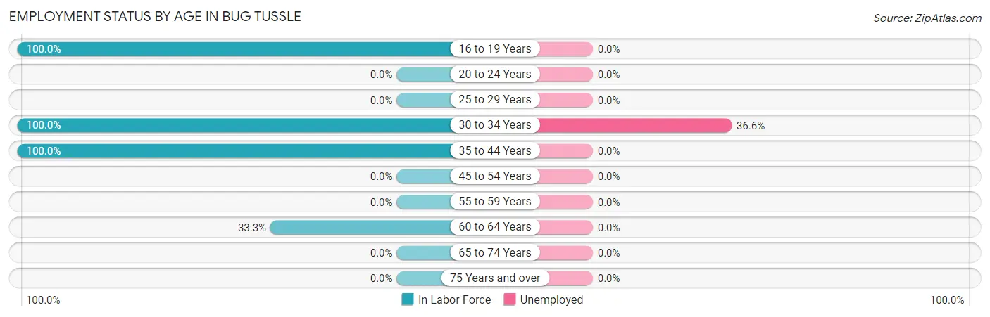 Employment Status by Age in Bug Tussle