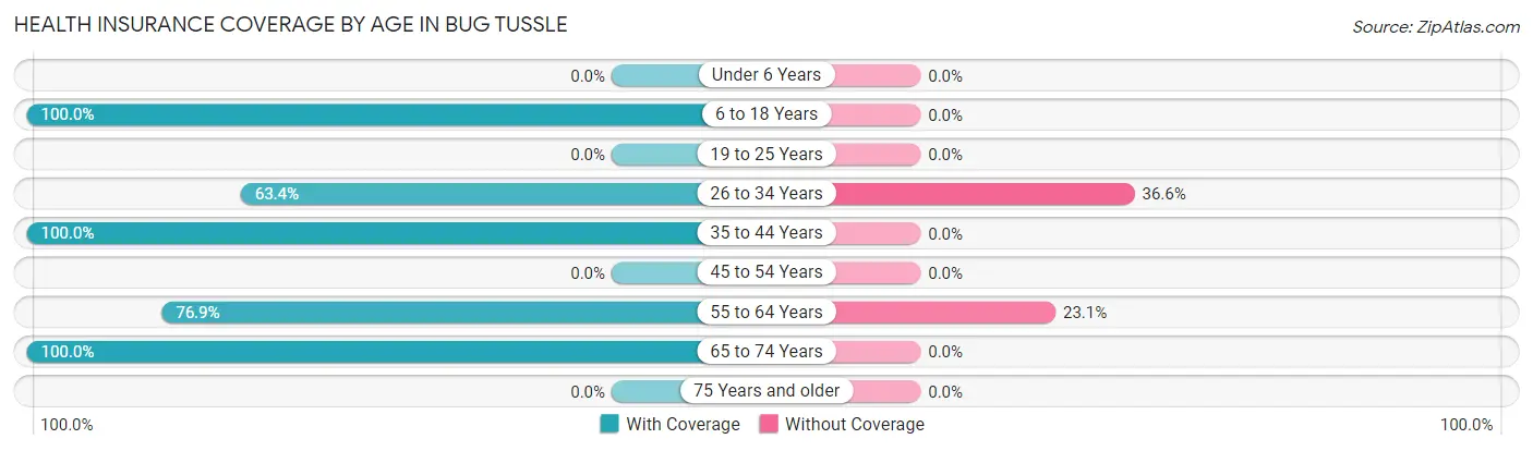 Health Insurance Coverage by Age in Bug Tussle