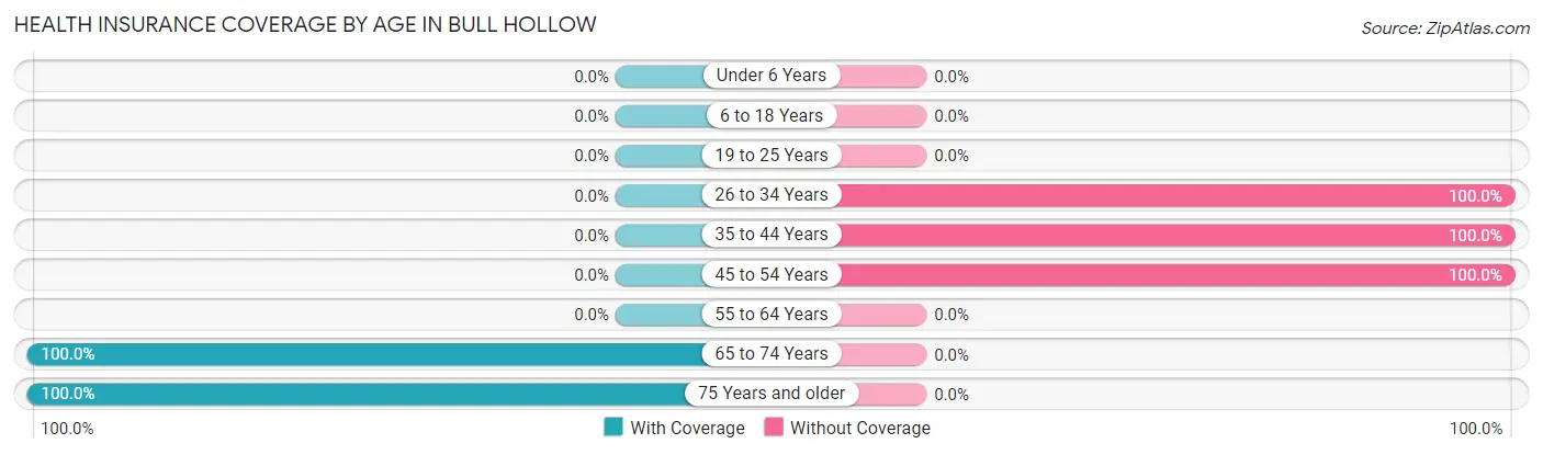 Health Insurance Coverage by Age in Bull Hollow