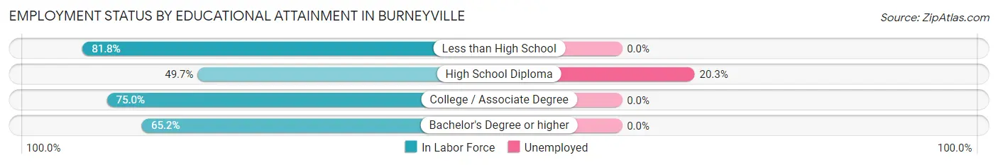Employment Status by Educational Attainment in Burneyville
