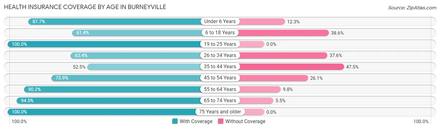 Health Insurance Coverage by Age in Burneyville