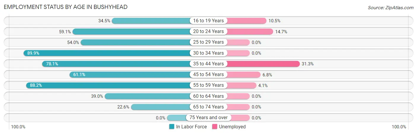 Employment Status by Age in Bushyhead