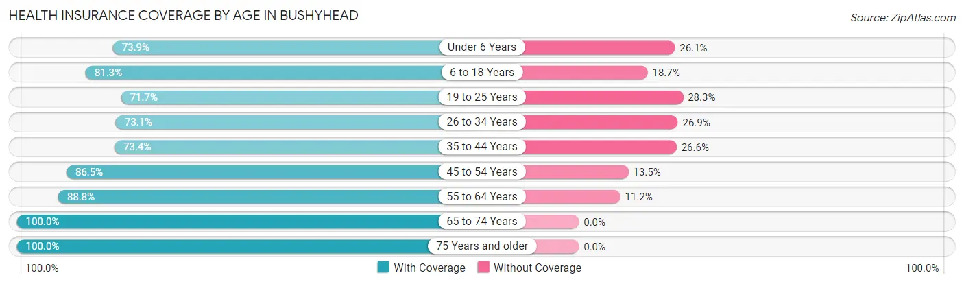 Health Insurance Coverage by Age in Bushyhead