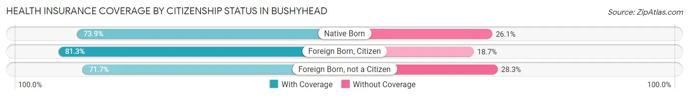 Health Insurance Coverage by Citizenship Status in Bushyhead