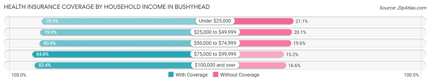 Health Insurance Coverage by Household Income in Bushyhead