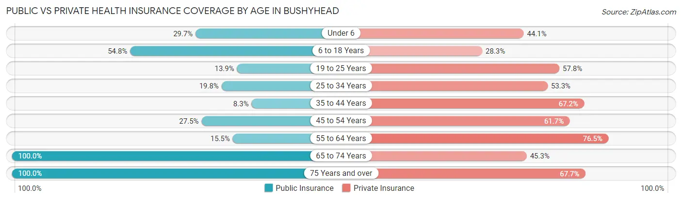Public vs Private Health Insurance Coverage by Age in Bushyhead