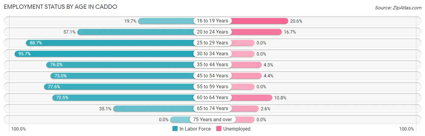 Employment Status by Age in Caddo