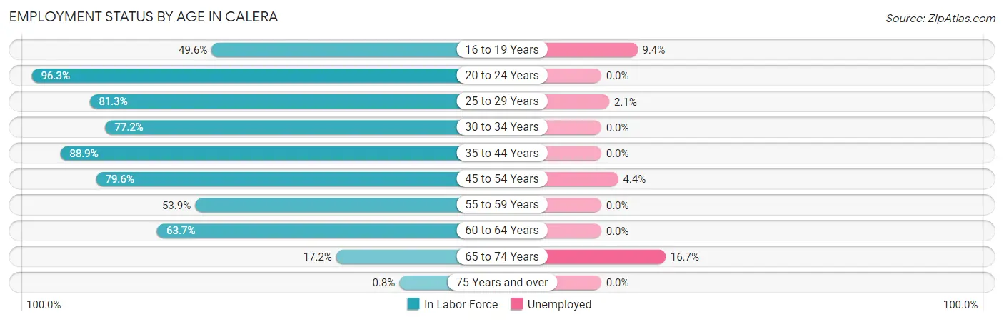 Employment Status by Age in Calera