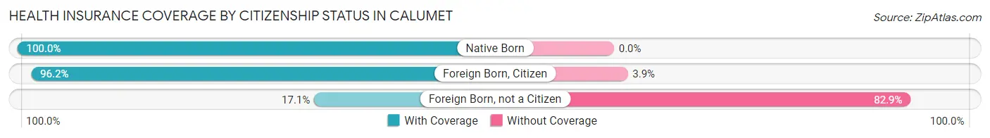 Health Insurance Coverage by Citizenship Status in Calumet