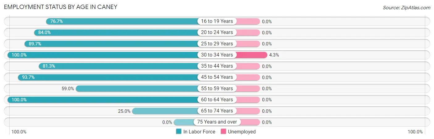 Employment Status by Age in Caney
