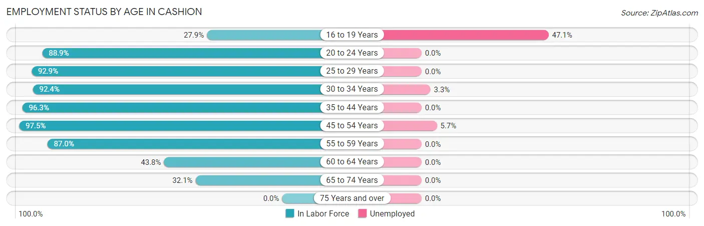 Employment Status by Age in Cashion