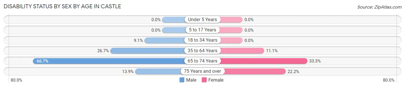 Disability Status by Sex by Age in Castle