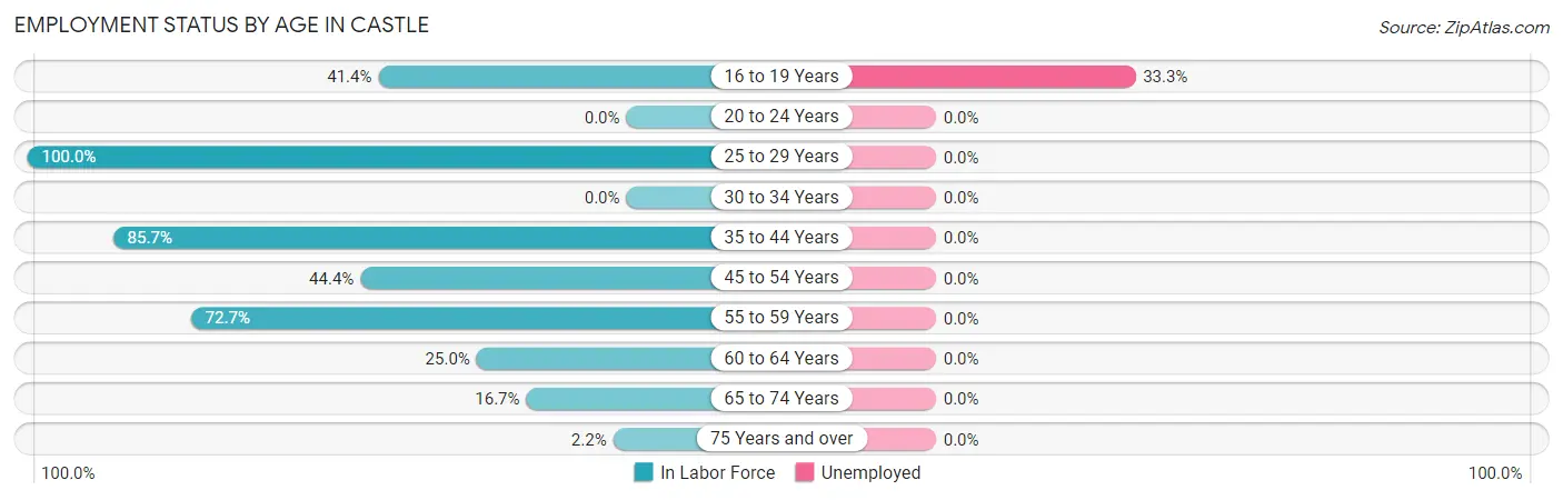 Employment Status by Age in Castle