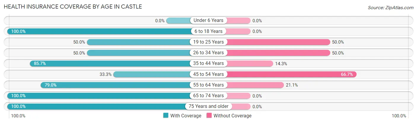 Health Insurance Coverage by Age in Castle