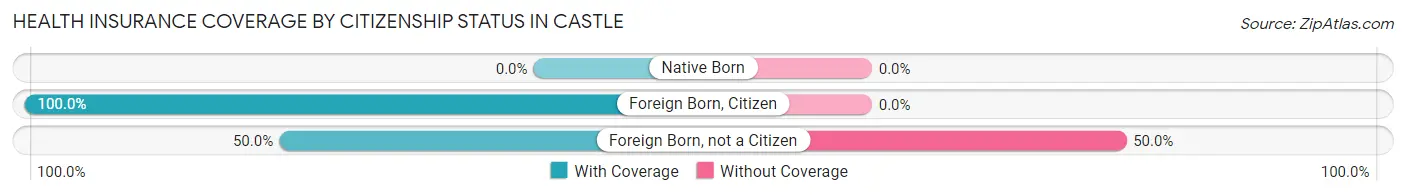 Health Insurance Coverage by Citizenship Status in Castle