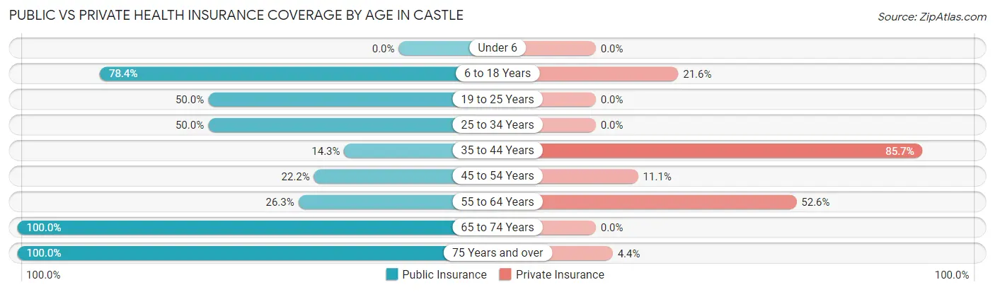 Public vs Private Health Insurance Coverage by Age in Castle
