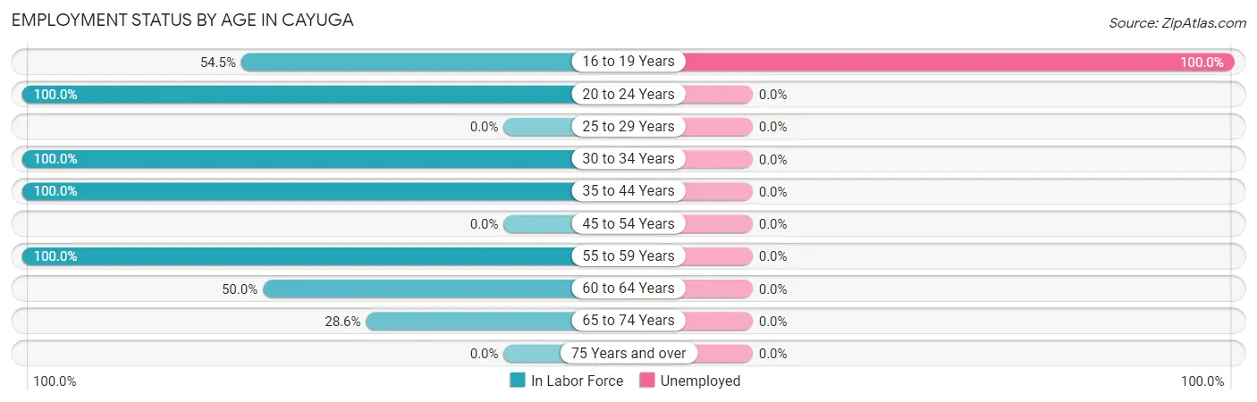 Employment Status by Age in Cayuga
