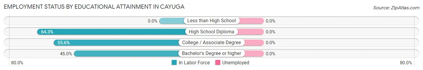 Employment Status by Educational Attainment in Cayuga