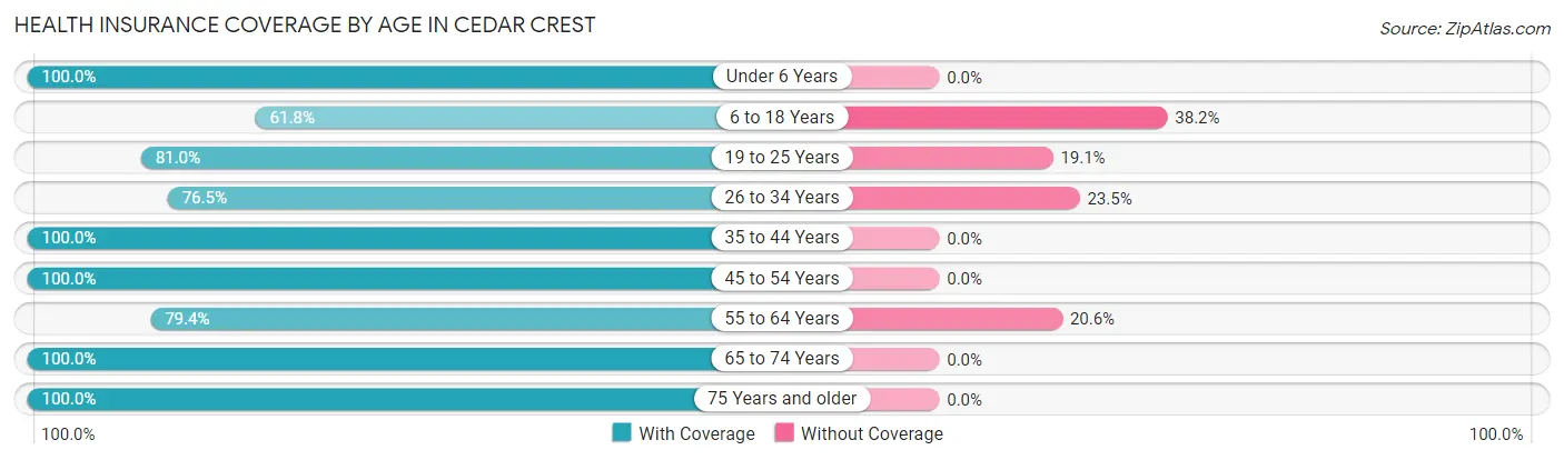 Health Insurance Coverage by Age in Cedar Crest