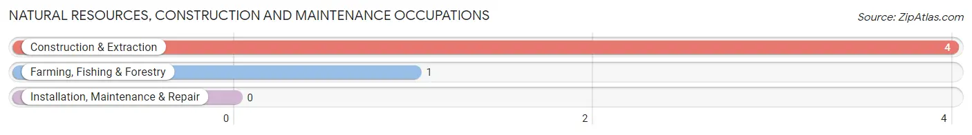 Natural Resources, Construction and Maintenance Occupations in Centrahoma