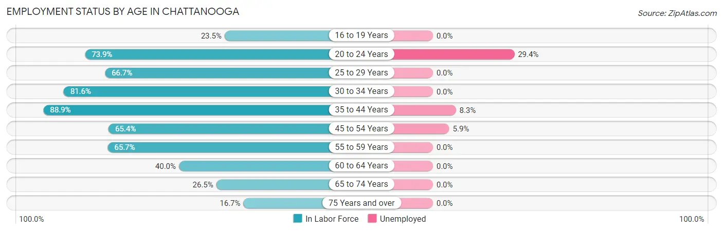 Employment Status by Age in Chattanooga