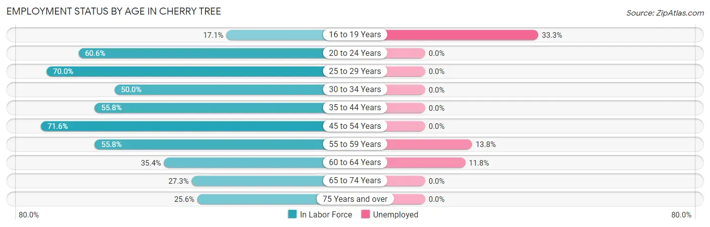 Employment Status by Age in Cherry Tree