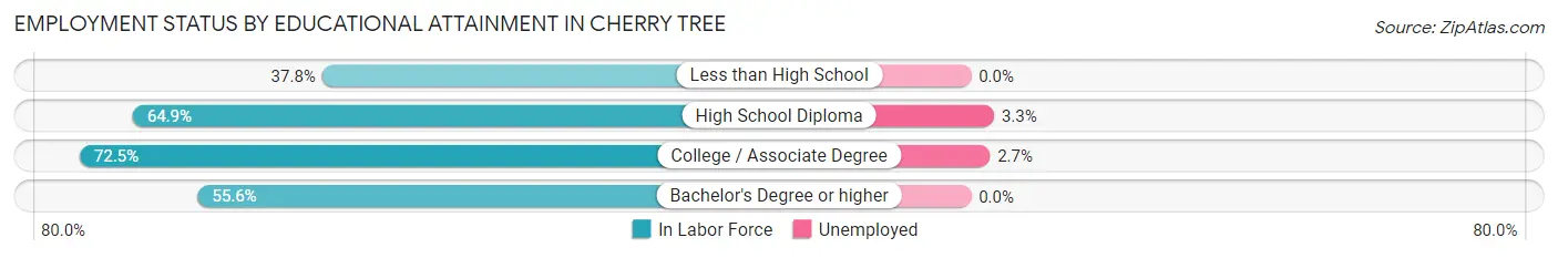 Employment Status by Educational Attainment in Cherry Tree