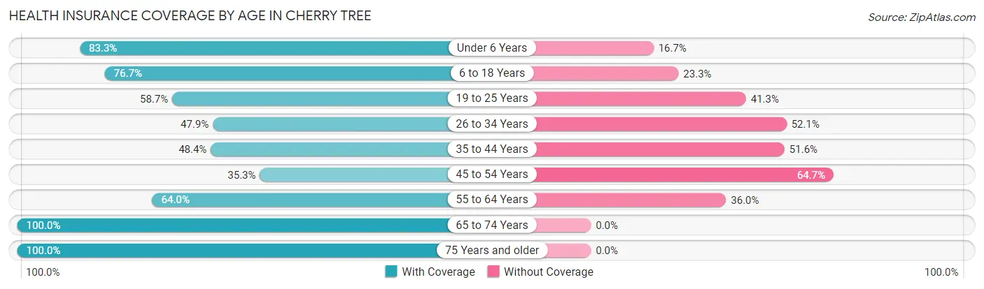 Health Insurance Coverage by Age in Cherry Tree
