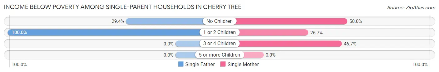 Income Below Poverty Among Single-Parent Households in Cherry Tree