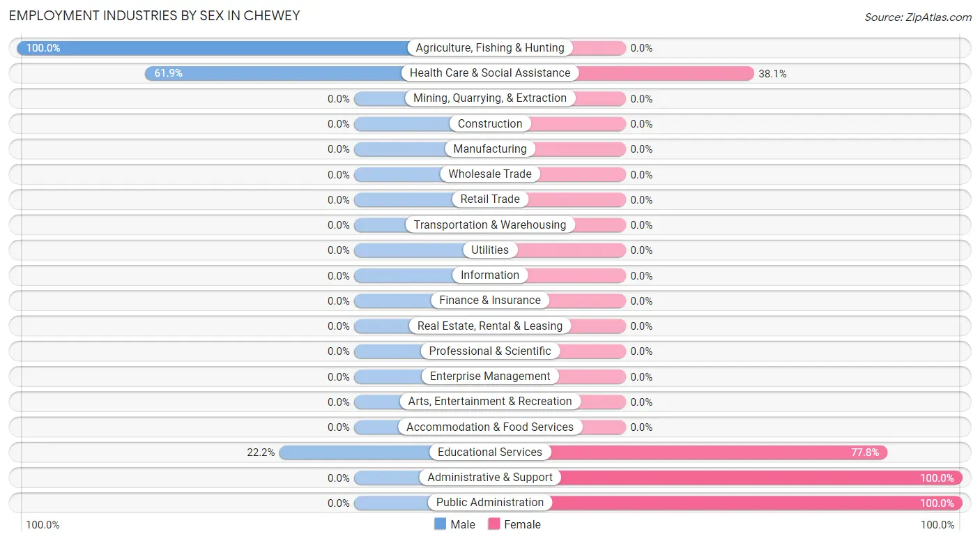 Employment Industries by Sex in Chewey