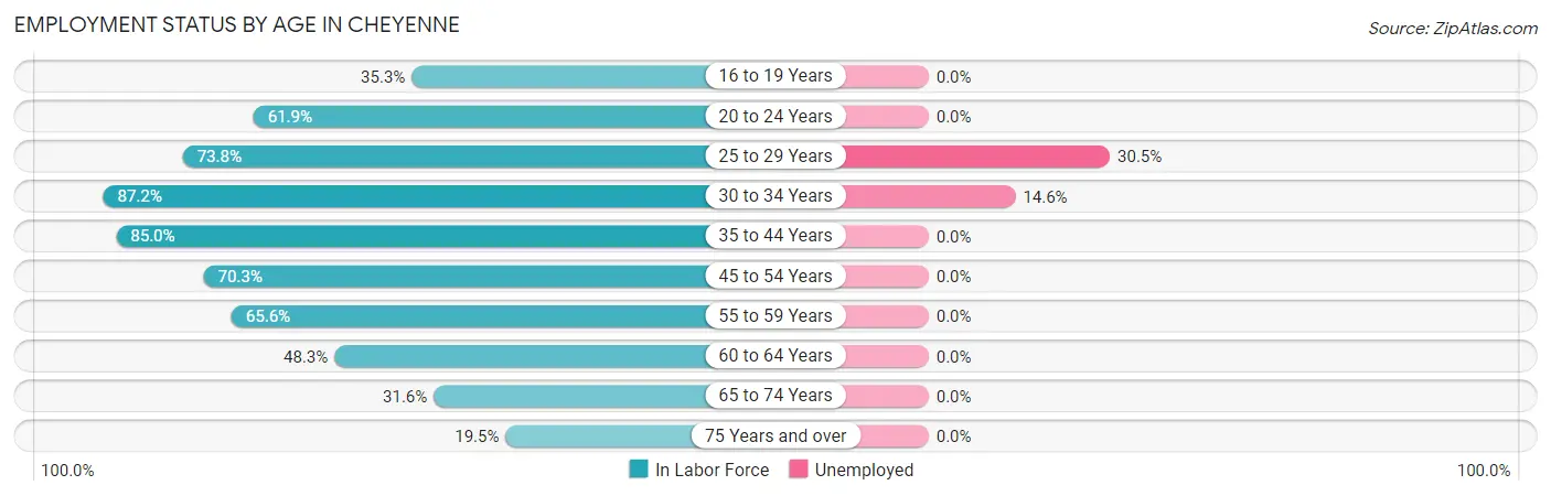 Employment Status by Age in Cheyenne
