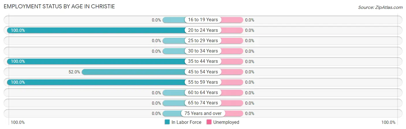 Employment Status by Age in Christie