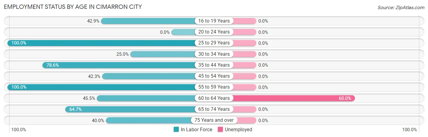 Employment Status by Age in Cimarron City