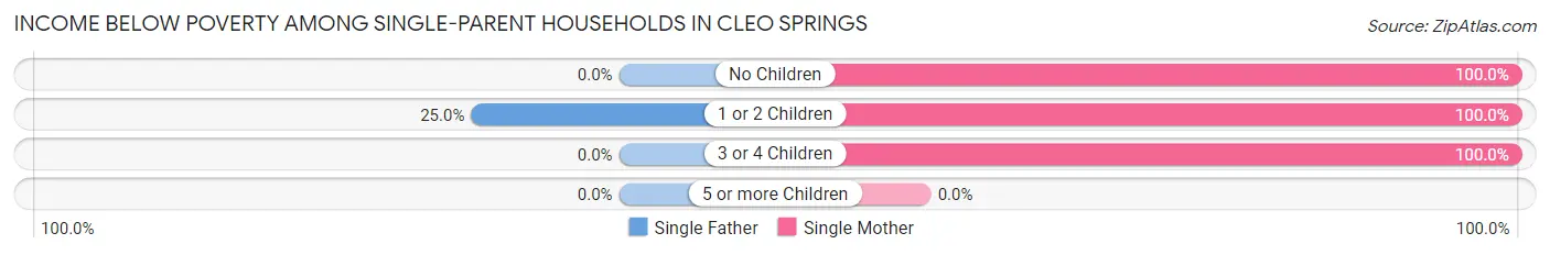 Income Below Poverty Among Single-Parent Households in Cleo Springs