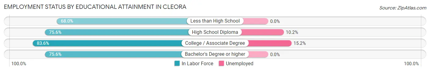 Employment Status by Educational Attainment in Cleora