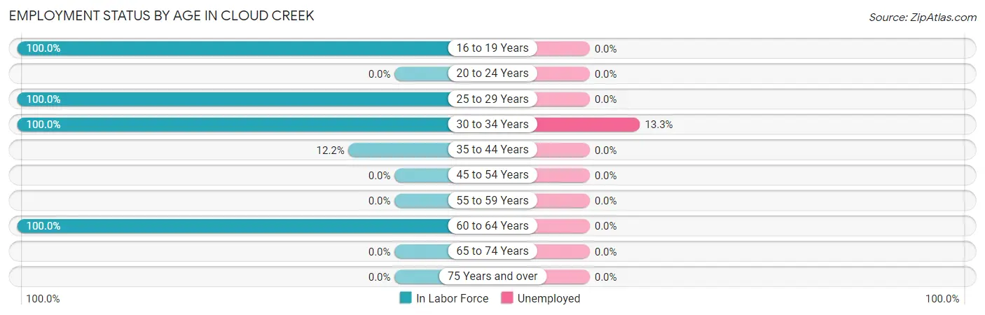 Employment Status by Age in Cloud Creek