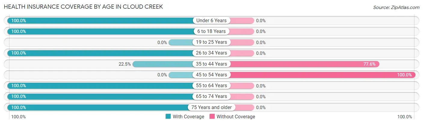 Health Insurance Coverage by Age in Cloud Creek