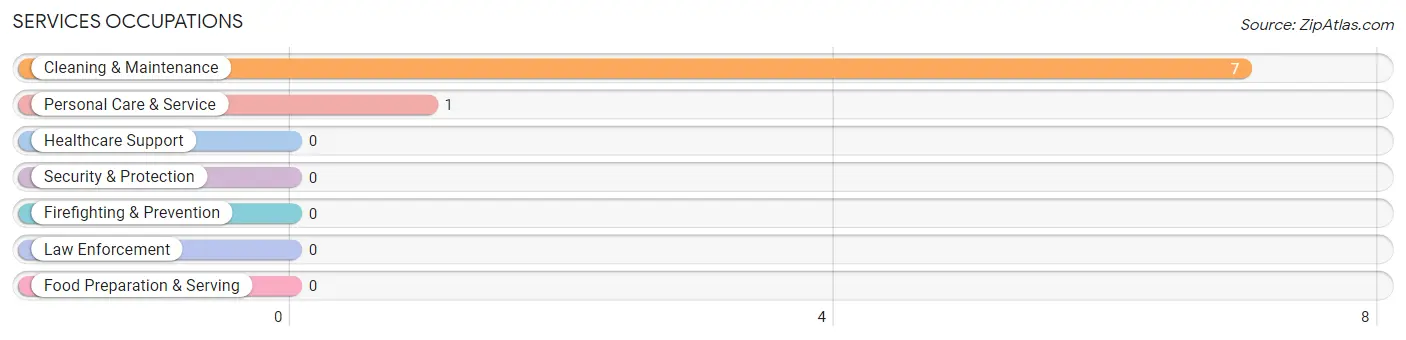 Services Occupations in Colony