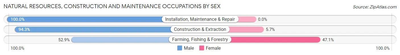 Natural Resources, Construction and Maintenance Occupations by Sex in Commerce