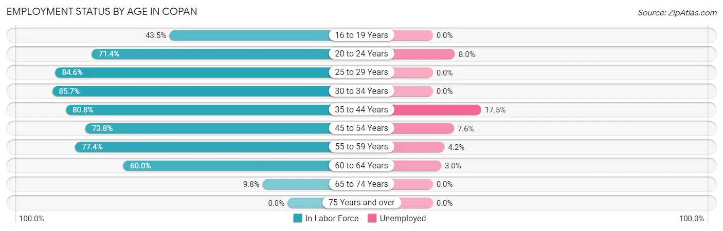 Employment Status by Age in Copan